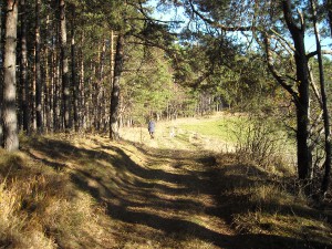 svejcarovka-016.jpg